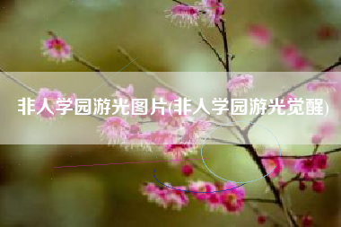 非人学园游光图片(非人学园游光觉醒)