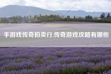 手游戏传奇拍卖行,传奇游戏攻略有哪些