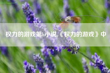 权力的游戏第h小说,《权力的游戏》中