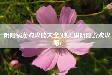 阴阳锅游戏攻略大全(孙美琪阴阳游戏攻略)