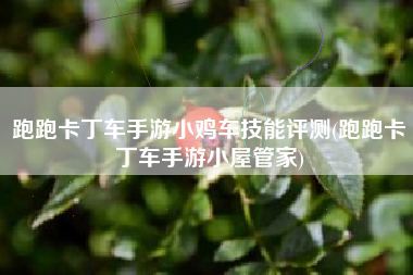 跑跑卡丁车手游小鸡车技能评测(跑跑卡丁车手游小屋管家)