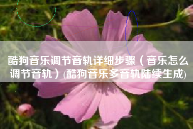 酷狗音乐调节音轨详细步骤（音乐怎么调节音轨）(酷狗音乐多音轨陆续生成)
