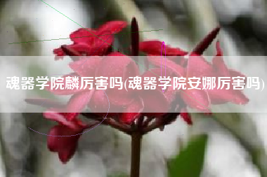 魂器学院麟厉害吗(魂器学院安娜厉害吗)