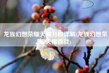 龙族幻想荣耀天梯分段详解(龙族幻想荣耀天梯首战)