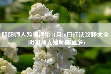 阴阳师入殓师退治11月16日打法攻略大全(阴阳师入殓师哪里多)