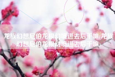 龙族幻想尼伯龙根幻境进去后干嘛(龙族幻想尼伯龙根幻境进去后干嘛)
