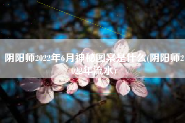 阴阳师2022年6月神秘图案是什么(阴阳师2022年流水)