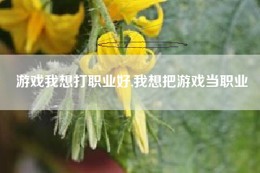 游戏我想打职业好,我想把游戏当职业
