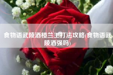食物语武陵酒楼兰王打法攻略(食物语武陵酒强吗)
