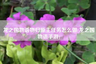 龙之国物语物归原主任务怎么做(龙之国物语手游)