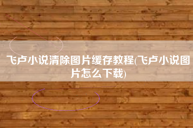 飞卢小说清除图片缓存教程(飞卢小说图片怎么下载)