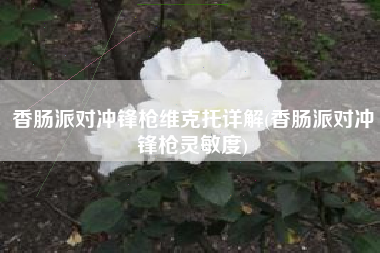香肠派对冲锋枪维克托详解(香肠派对冲锋枪灵敏度)