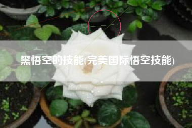 黑悟空的技能(完美国际悟空技能)
