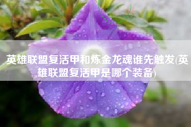 英雄联盟复活甲和炼金龙魂谁先触发(英雄联盟复活甲是哪个装备)
