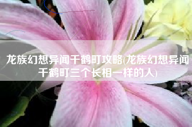 龙族幻想异闻千鹤町攻略(龙族幻想异闻千鹤町三个长相一样的人)