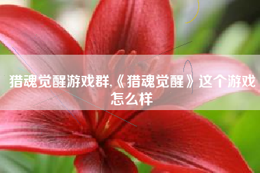 猎魂觉醒游戏群,《猎魂觉醒》这个游戏怎么样