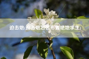迫击炮(迫击炮怎么布置绝地求生)