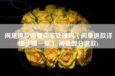 闲鱼退款需要卖家处理吗（闲鱼退款详细步骤一览）(闲鱼部分退款)