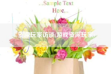 资深玩家访谈(游戏资深玩家)