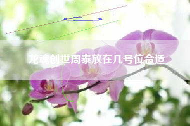 龙魂创世周泰放在几号位合适