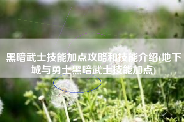黑暗武士技能加点攻略和技能介绍(地下城与勇士黑暗武士技能加点)