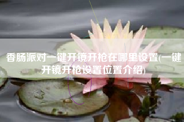 香肠派对一键开镜开枪在哪里设置(一键开镜开枪设置位置介绍)