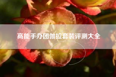 高能手办团伽拉套装评测大全