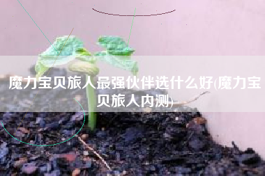 魔力宝贝旅人最强伙伴选什么好(魔力宝贝旅人内测)