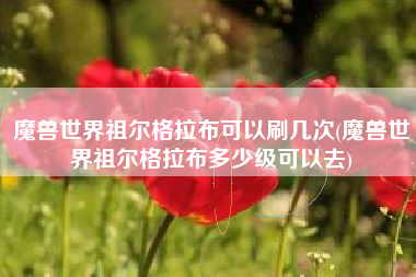 魔兽世界祖尔格拉布可以刷几次(魔兽世界祖尔格拉布多少级可以去)