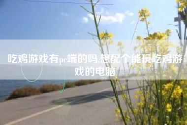 吃鸡游戏有pc端的吗,想配个能玩吃鸡游戏的电脑