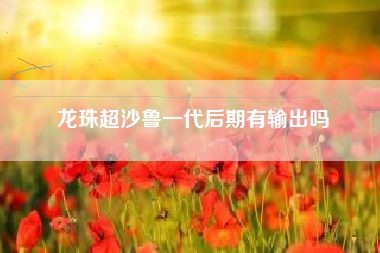 龙珠超沙鲁一代后期有输出吗