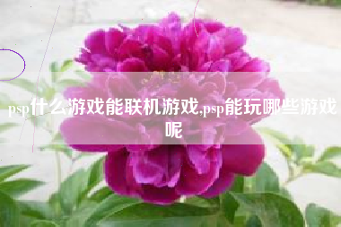 psp什么游戏能联机游戏,psp能玩哪些游戏呢