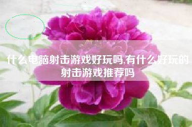 什么电脑射击游戏好玩吗,有什么好玩的射击游戏推荐吗