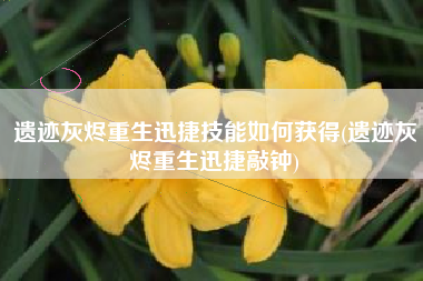 遗迹灰烬重生迅捷技能如何获得(遗迹灰烬重生迅捷敲钟)