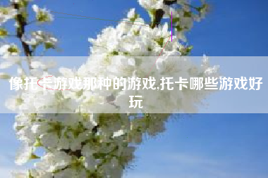 像托卡游戏那种的游戏,托卡哪些游戏好玩