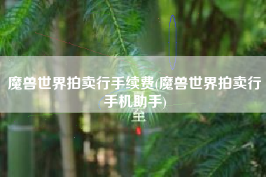魔兽世界拍卖行手续费(魔兽世界拍卖行手机助手)