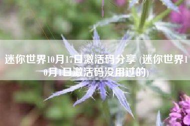 迷你世界10月17日激活码分享 (迷你世界10月1日激活码没用过的)