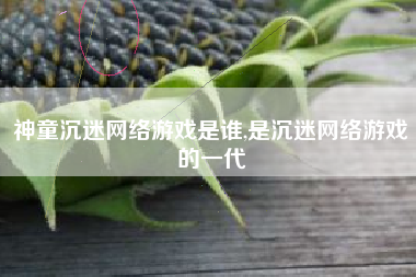 神童沉迷网络游戏是谁,是沉迷网络游戏的一代