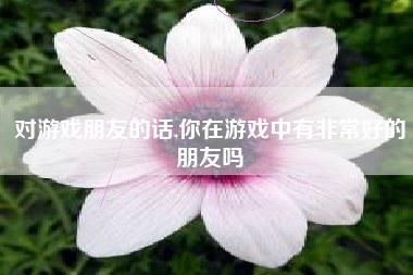对游戏朋友的话,你在游戏中有非常好的朋友吗