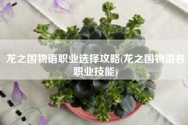 龙之国物语职业选择攻略(龙之国物语各职业技能)