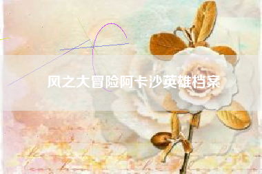 风之大冒险阿卡沙英雄档案