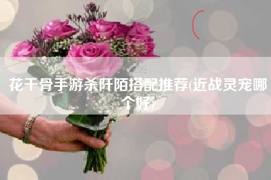 花千骨手游杀阡陌搭配推荐(近战灵宠哪个好)