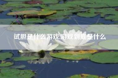 试胆是什么游戏,游戏到底是什么