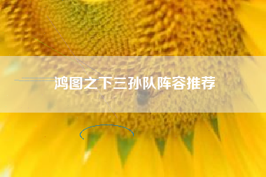 鸿图之下三孙队阵容推荐