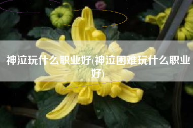 神泣玩什么职业好(神泣困难玩什么职业好)