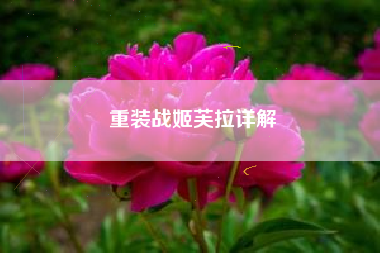 重装战姬芙拉详解