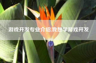 游戏开发专业介绍,我想学游戏开发