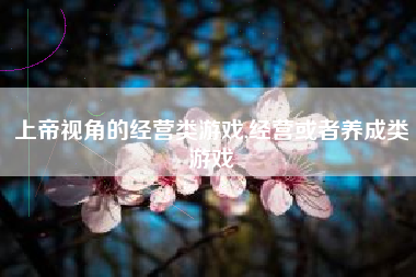 上帝视角的经营类游戏,经营或者养成类游戏