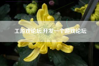 工游戏论坛,开发一个游戏论坛
