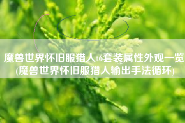 魔兽世界怀旧服猎人t6套装属性外观一览 (魔兽世界怀旧服猎人输出手法循环)